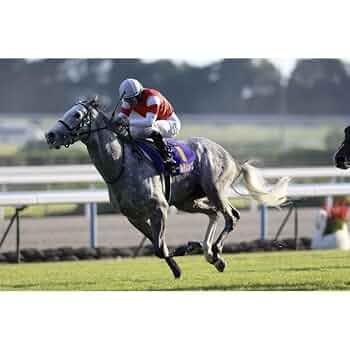 JRA 第48回宝塚記念 アドマイヤムーン オルゴール 小物入れ 非売品 貴重 JRA 第48回宝塚記念 アドマイヤムーン オルゴール 小物入れ